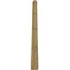 bambus-discount.com 1 canna di bambù gigante Petung 200 cm giallo-marrone con diametro di 14 - 16 cm - Asta di bambù XXL trattata con sale borico 2 m di lunghezza