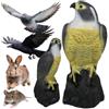 REPEST Falco Spaventapasseri Realistico Dissuasore Piccioni Storni Passeri Repellente Uccelli Per Balcone Terrazzo Giardino Falcon Finto Antipiccioni Plastica Resistente UV Per Esterno