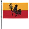 FJQWKLF Bandiera bifacciale della bandiera della Romagna Bandiera durevole per esterni 3x5 piedi Banner per patio Bandiere decorative per interni Divertenti 3by5 Bandiere per feste in casa