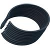 UYTGFO Adatto for ZENOAH KOMATSU G2000T More Kit di riparazione del cilindro del decespugliatore for motosega a 2 tempi 10 pezzi/lotto Anello pistone 30,5 mm * 1,5 mm
