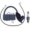 CVFDCCD Misura for Stihl BR500 BR550 BR600 Zaino Ventilatore con candela Sostituisci 4282-400-1305 4282-400-1308 4282-400-1310 Bobina di accensione
