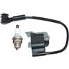 AOLUOER Bobina di accensione for S//h//i//n//d//a//i//w//a T231XB T260 T261 T261B M230 M231 F230 T-250 C-250 C230 F21 T230 T230X T230XR T231 C230PT P230S