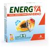 Angelini (a.c.r.a.f.) spa ENERGYA INVERNO 14BUST