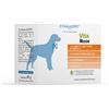 DYNAMOPET Srl Vita Medium 20 Bustine da 4g - Alimento Complementare per Cani e Gatti
