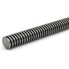 DOLD Mechatronik Vite di precisione trapezoidale RPTS 30 x 12P6 destra, filettatura trapezoidale, filettatura TR trapezoidale, lunghezza del mandrino: 120 mm