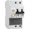 STRAFBRG Contatore di energia intelligente 2P Circuit Breaker Energy Monitoring Meter Smart Breaker Compatibile Lan Control Smart Home Protezione da perdite da sottotensione(2P 80A,AC 110-130V)