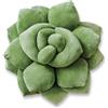 Green Philosophy Co. Cuscino per piante grasse a forma di cactus per gli amanti del verde o del giardino, forma 3D per creare il tuo terrario a grandezza naturale - verde oliva