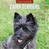 Red Robin Publishing Red Robin 2026 Cairn Terriers Calendario mensile da parete | 30,5 x 61 cm aperto | Carta spessa e robusta di alta qualità | Calendario 12 mesi da appendere | Note a righe e area cose da fare, immagini