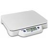 KERN Bilancia da tavolo [Kern ECE 10K-3N] piatta, portatile, semplice, portata massima 10 kg, leggibilità [d]: 5 g
