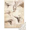 XCOFG Leonardo Da Vinci Rompicapo disegno Per Adulti, Puzzles arte, Puzzle Impegnativi, Puzzle Incisione Impossible, Divertenti E Colorati, 1000 Pezzi