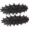 BESPORTBLE Riproduzione di Cetriolo di Mare Artificiale 2 Pezzi in Pvc Nero | Gioco Simbolico e Esposizione, Forma Realistica, Adatto a Asilo e Decorazione Domestica