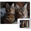 Guuogxan Puzzle Personalizzato Con Foto - Puzzle di Legno Personalizzati da 35/70/120/200/300/500/1000/1500/2000/3000 Pezzi, Puzzles con La Tua Foto Preferita Puzzles Divertenti per Gioco Adulto/Familiare