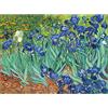 Bristlegrass Puzzle in legno da 1000 pezzi per adulti Van Gogh dipinti famosi - Iris giocattoli regali arte da collezione puzzle pittura decorativa (1000 pezzi), ZYPT006210-221123