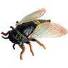 JOKFEICE Realistico Figure di Animali Figurine Cicala Insetto Giocattolo, Progetto di Scienza, Cake Topper, Primi Giocattoli Educativi di Compleanno Regalo di Natale per I Bambini