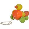 Eichhorn 100002423 Anatra Trainabile