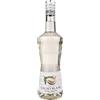 MONIN Liquore Cacao Bianco, 700 ml