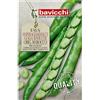 Bavicchi Fava Superaguadulce Golia orig. Marocco 1kg