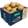 ANTONIO RUGGIERO - PATATE DAL 1889 Patate RUGGIERO PER FRITTURE DA 20 KG By Antonio Ruggiero dal 1889 la famiglia delle patate