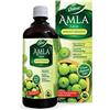 Dabur Amla Juice - Ricche Fonti di Vitamina C - 100% Ayurvedico Salute Juice - 1 Ltr