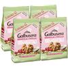 Generico 4X Galbusera Cereali G, Biscotti Frollini di Granola e Frolla 100% Vegetali con Avena, Mirtilli Rossi e Cocco, 280g