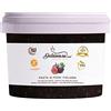Dolcincasa.com Pasta Gelato ai Fichi 200 Gr ottimo impiego in Gelateria e Pasticceria