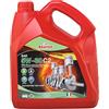 Rhütten Olio Motore Rhutten, Sintetico, 5W-30 C2 4L