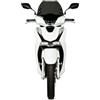 BRIXIAMOTO MALOSSI 4518766 Cupolino Sport Screen Fumé Scuro 39x28.5 cm Compatibile con Honda SH 150/125