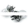 ELVEZIO ESPOSITO INTERNI E ACCESSORI PER Lampadine Fari Anteriori 12V 45/40W Compatibile con Fiat 500 Epoca