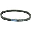 Athena S410000350021 Cinghia di Trasmissione