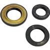 Mentasti KIT SET 3 PARAOLI MOTORE APE 175 200 MP MPR MPN MPV CAR P400 P601 ECC
