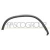 PRASCO Modanatura decorativa/protettiva Parafango VG8091583 Compatibilità con VW TIGUAN 5N