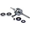 TOP-DR 9927900 ALBERO MOTORE TPR CORSA 39,2 MINARELLI VERTICALE + CUSCINETTI & PARAOLI