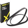 RIDEX PLUS 305P0179P Cinghia servizi Compatibilità con RENAULT Clio 2 BB0/1/2, CB0/1/2