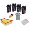 AOQ ORIGINAL QUALITY AOQ-KIT TAGLIANDO CON OLIO COMPATBILE CON VARI MODELLI V.A.G.(Motori 1.4 e 1.9 tdi)