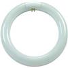 nextradeitalia 6PZ CIRCOLINE TRIFOSFORO FLUORESCENTI T9 G10Q - 22w - 4200?K naturale - 1350 lm - 210x30