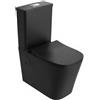 Lavita Tryton Black Vaso WC a Terra Senza Brida con Copriwater Soft-Close, Scarico universale, Ceramica Sanitaria Nero Opaco