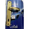Generic COTTALI MANIGLIA OTTONE PORTA INTERNA MOD. PARO PLACCA OLV