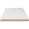 Fratelli Biasco Pannello Coibentato per Pareti (Pannelli Sandwich) - Isolamento Termico e Acustico Superiore (misure 100 cm x 100 cm spessore 3 cm )