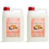 Familycom Confezione da 2 detersivi liquidi per lavatrice professionale Marsiglia colori tradizionali, 5 litri (2 pezzi da 5 L) 10 litri (cocco pesca)