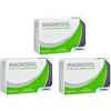 MEDA 3X MAGNOSOL MAGNESIO E POTASSIO - Integratore Alimentare - 60 BUSTINE