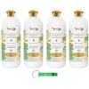 Beni Culinari WEXOR - 4 ammorbidenti per fiori di loto Ammorbidente extra profumato con essenza concentrata, profumo con note floreali, 55 lavaggi 1 litro + portachiavi Beni Culinari
