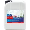 DETERGENZA PROFESSIONALE DETERGENTE BRILLANTANTE MULTISUPERFICI Brill Tecno CONCENTRATO - pz. 1 da 5 L