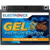 Electronicx GEL Batteria per Moto 12V 17Ah 205A ▶ Batteria moto motociclo scooter avviamento - esente manutenzione lunga durata alta potenza