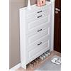 ARHAMS Scarpiera Salvaspazio Slim Armadio a Terra per Ingresso con Ante (Colore: A, Dimensioni: 50cm/19.7in)