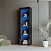 FOERPL Vetrina espositrice per collezioni con luci LED, 4 piani 166 x 55 x 38 cm, vetrina in vetro, ripiani mobili, armadio a libri (B, nero)