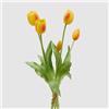 EDG enzo de gasperi EDG Bouquet Di Tulipani Sfumature di Giallo