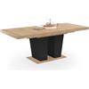 IDMarket - ELIAD tavolo da pranzo rettangolare allungabile 6-10 persone legno e nero 160-200 cm