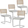 JZGORC Set di 4 Sedie da Pranzo Moderne, Sedia da Cucina Imbottita in Peluche Granulare, Sedia da Pranzo a Sbalzo con Schienale Intrecciato in Rattan a Rete - Bianco