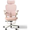 HINOMI Q2 Sedia da Ufficio Ergonomica con Supporto Lombare e Poggiatesta Regolabile, Seduta in Mesh con Braccioli Ribaltabili, Sedia Reclinabile con Poggiapiedi (Rosa)