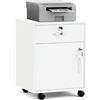 LEMROE Armadietto mobile a 2 cassetti con serratura e ruote in legno stile industriale per casa ufficio (bianco, 1 cassetto + 1 armadio)